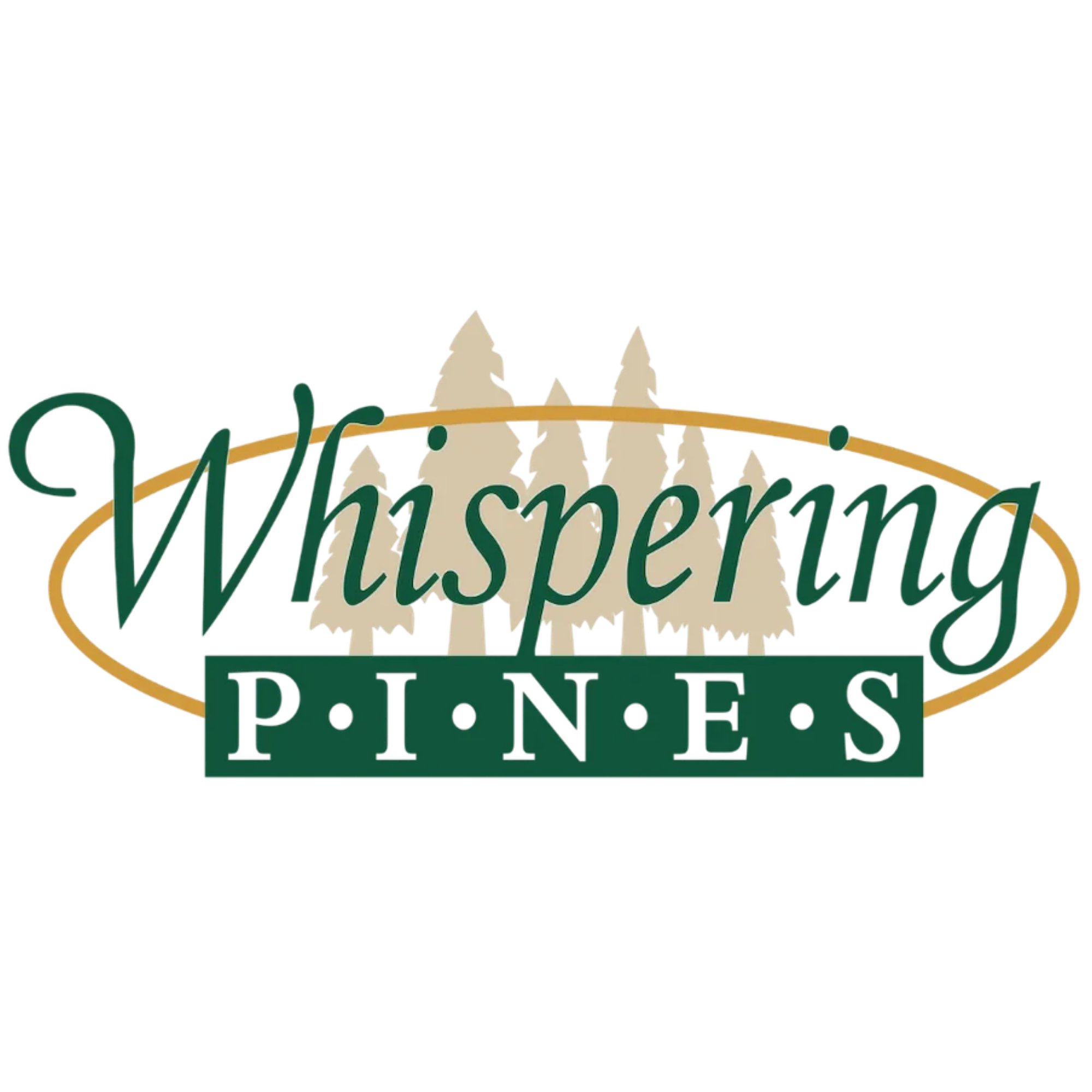 company image